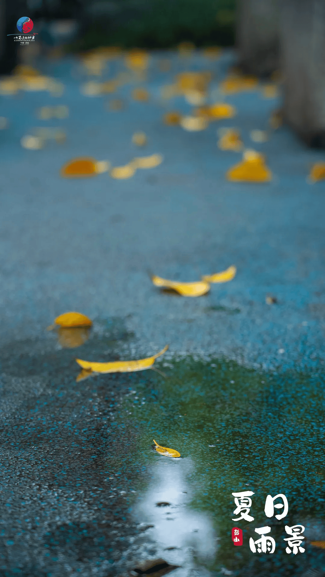 雾雨盛夏图片