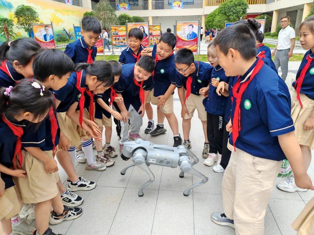 活动_宜昌市_小学