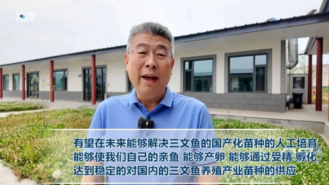 中国海洋大学包振民院士团队成功诱导10000余尾大西洋鲑伪雄鱼!将来中