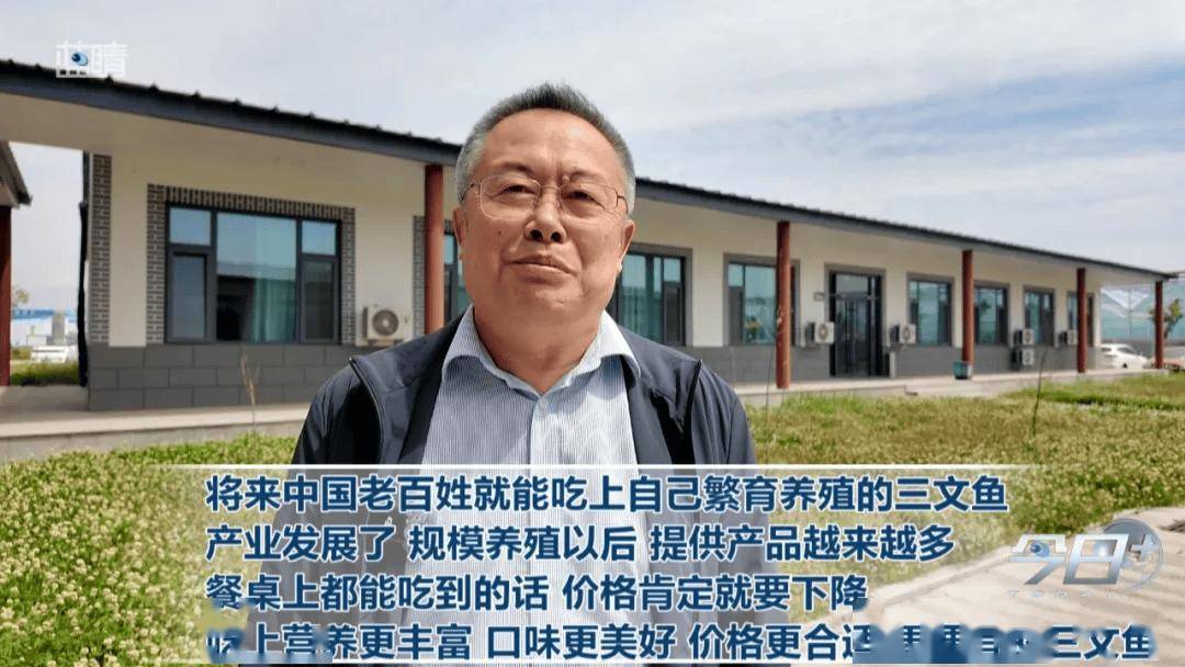 中国海洋大学包振民院士团队成功诱导10000余尾大西洋鲑伪雄鱼!将来中