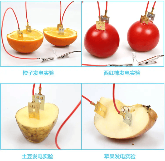 通过自己选择器材,柠檬,铜丝和小灯泡,完成科学实验《水果发电》9