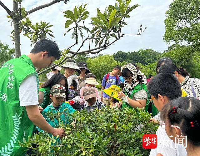 界面新闻:新澳内部资料精准一码-城市：潍坊：“三个靠前”筑牢城市防汛“安全堤坝”  第4张