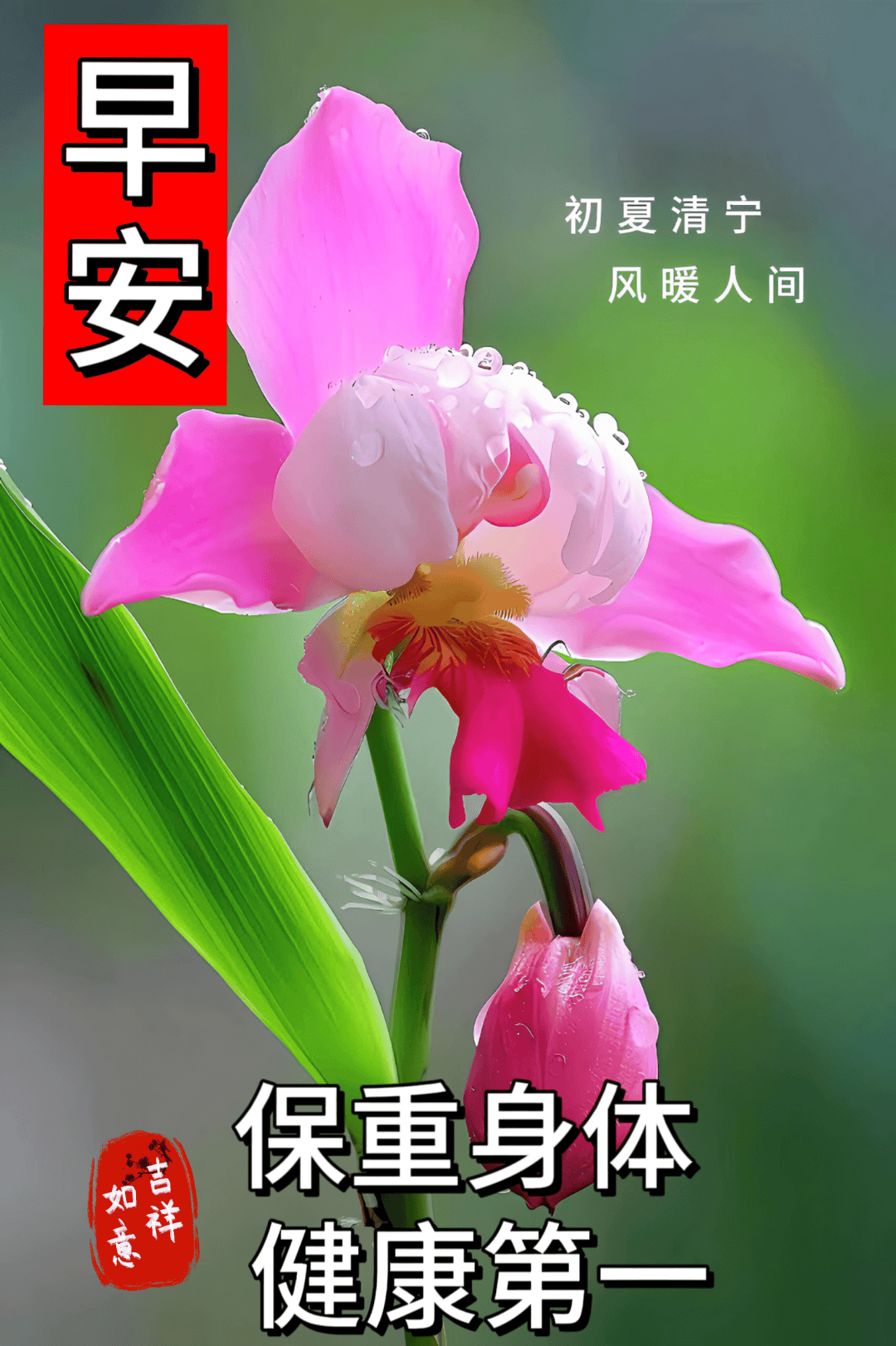 2024年5月26日最新早上好祝福语图片大全 精选早安问候祝福图片带字