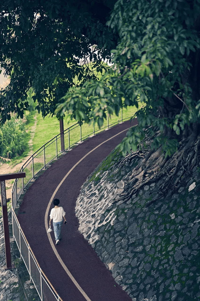 "能熬夜"的城市,白天没人,凌晨人挤人,比成都还安逸_南宁_电动车_公园