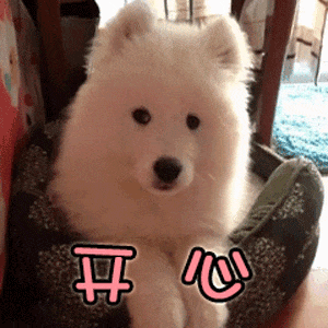 嗷呜~会害羞羞脸红的表情包