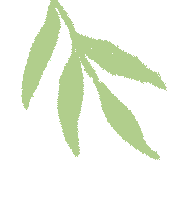六月文艺日历|这些剧目等你"艺"起过夏天