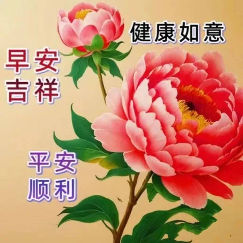 清晨发朋友圈的好图片图片