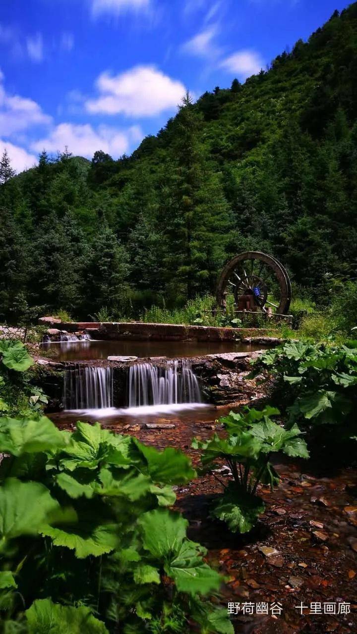 六盘山风景图片大全图片