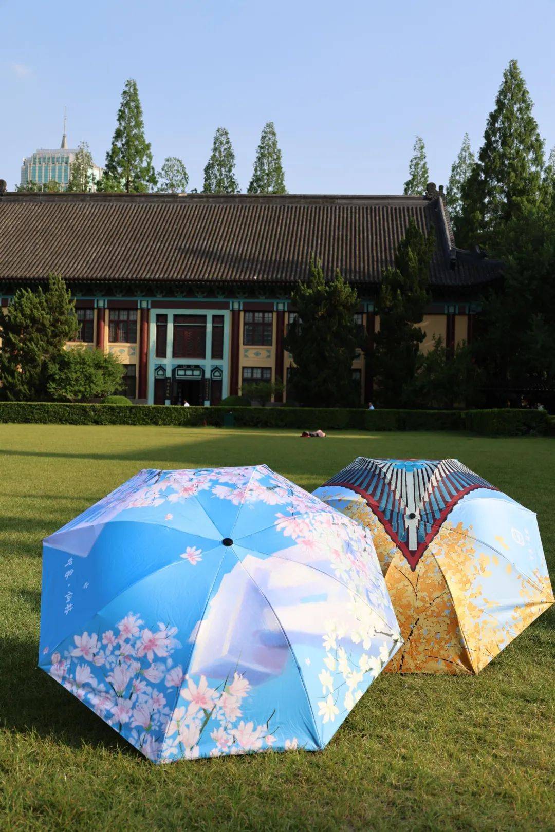 仙林文创伞 | 花伞寄语,满载祝福