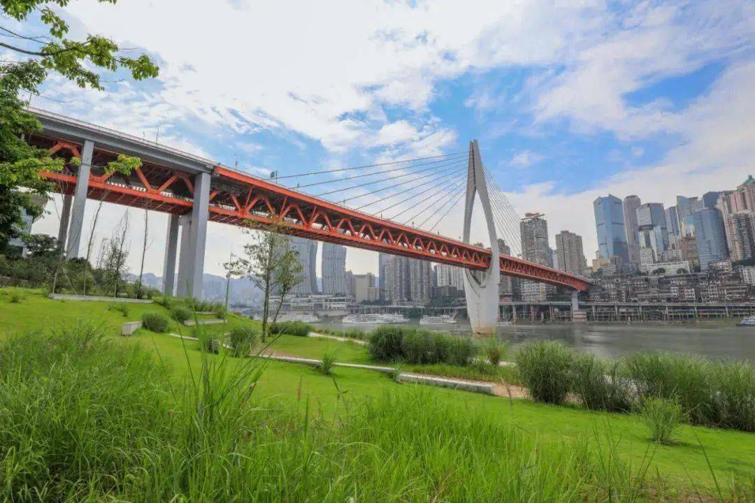 美丽重庆·我们在行动 | "灰色"→"绿色"!"两江四岸"持续上新