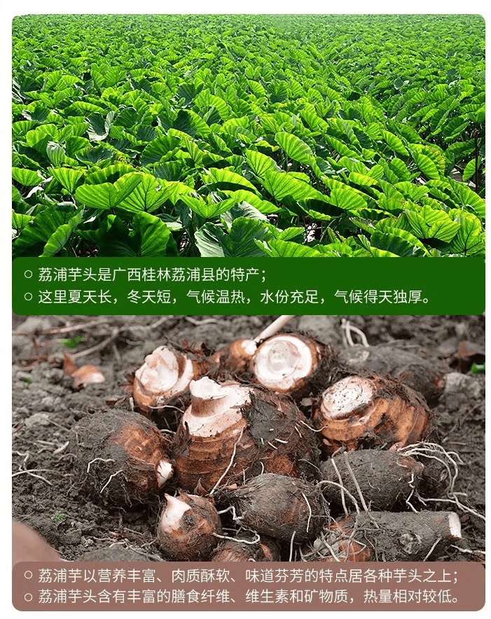 结节,囊肿,肌瘤,息肉都是"痰瘀"造成的,万万没想到