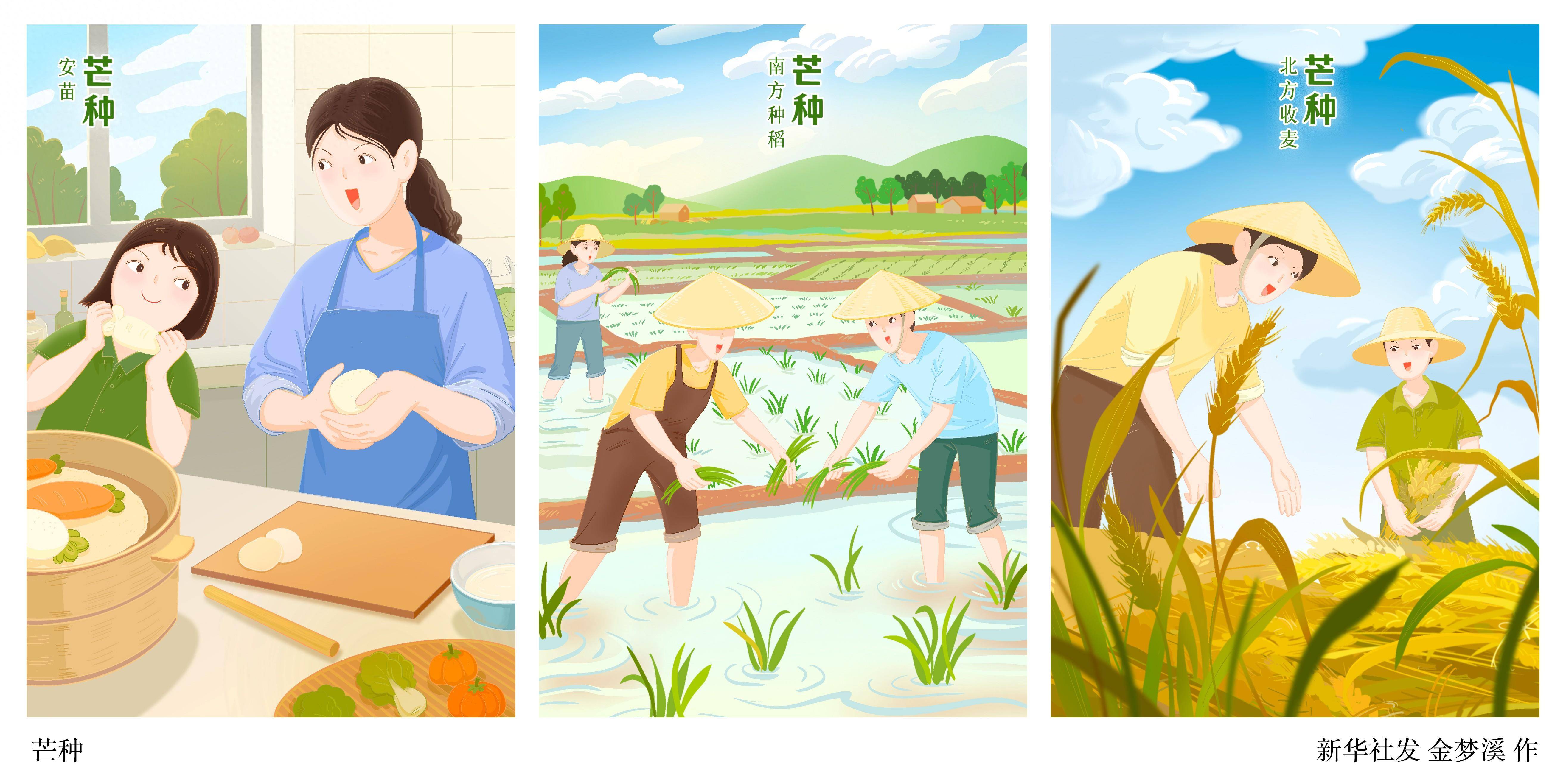 (图表·漫画)节令之美·芒种|芒种(横版)