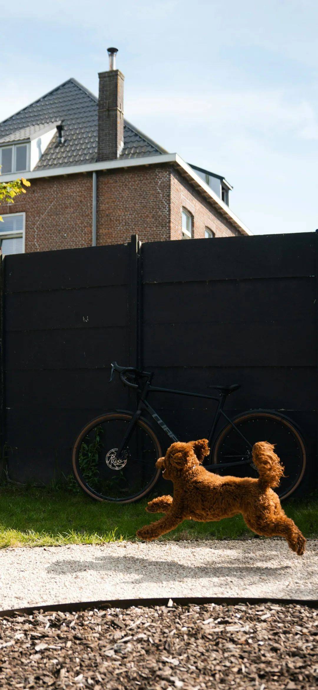 手机壁纸·4k景深全面屏