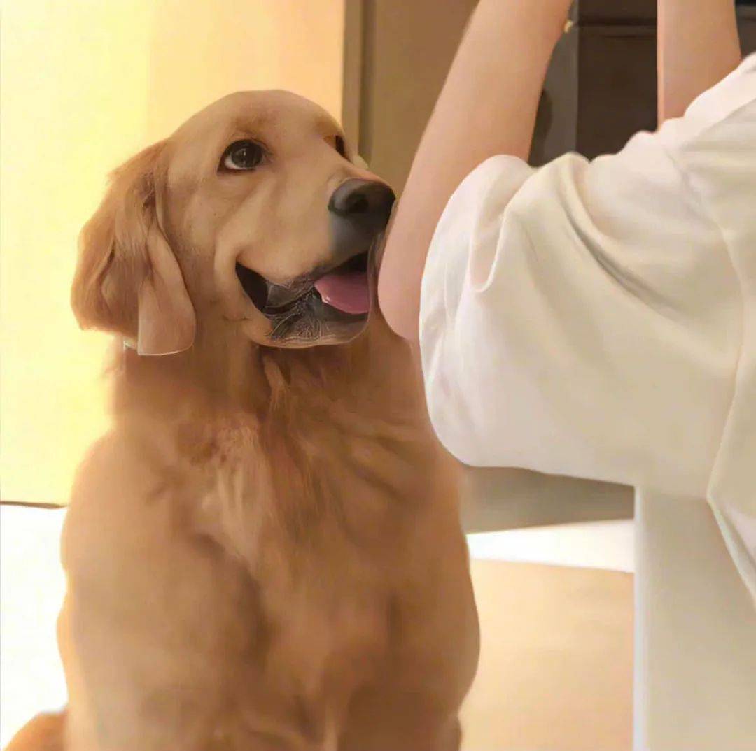 头像 | crush心动干净头像