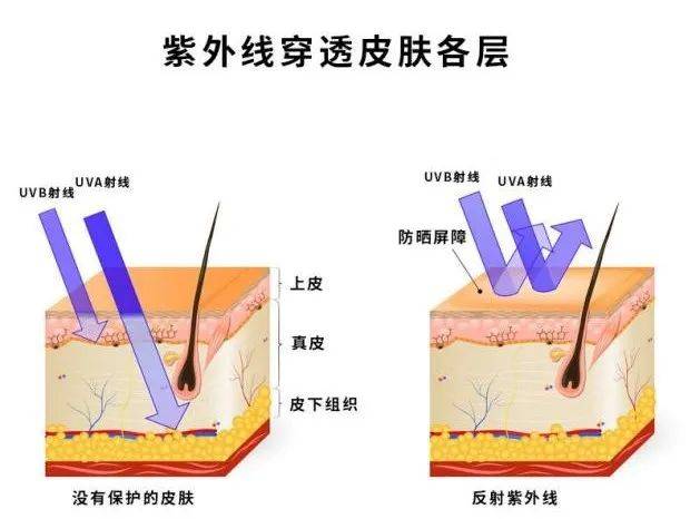 一,防晒原理如何选择儿童防晒衣,小编带大家来看一下吧!