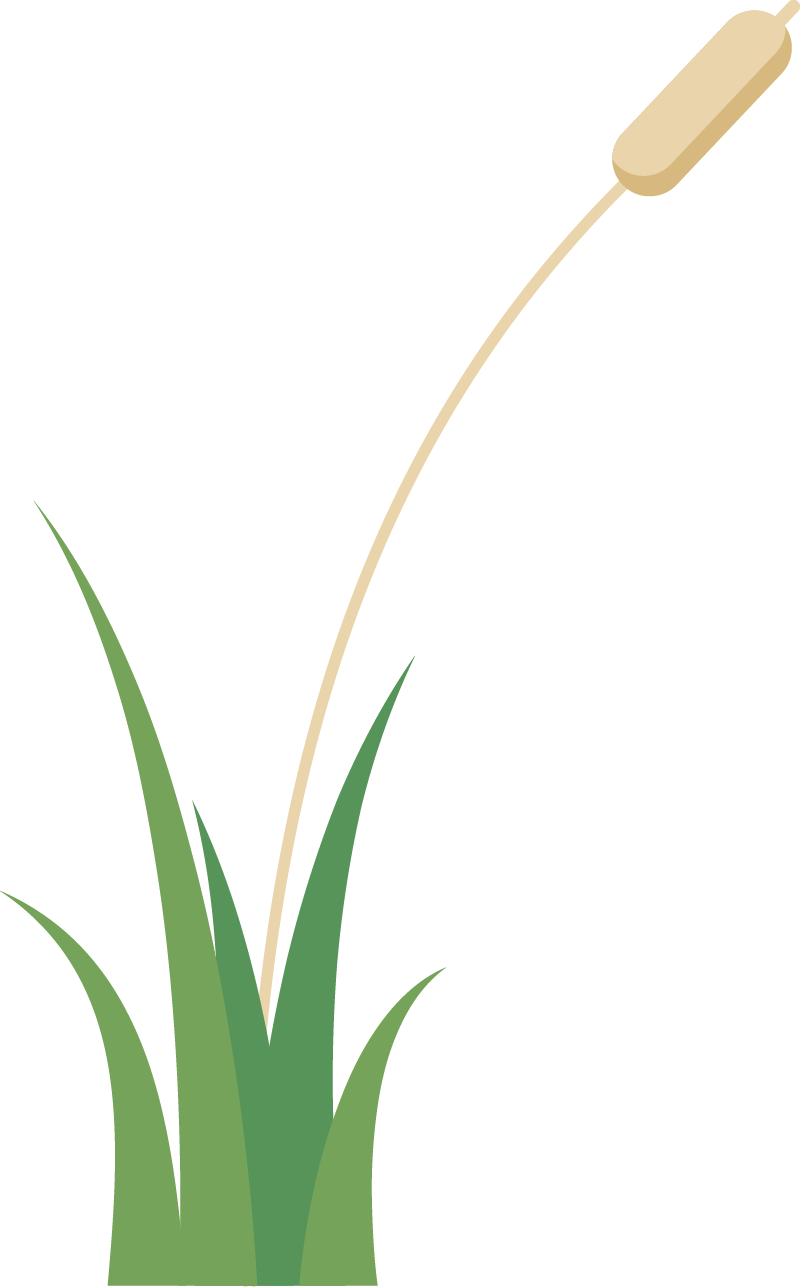 研学活动招募|2024年"爱自然·慧生活"主题夏令营 小暑营队