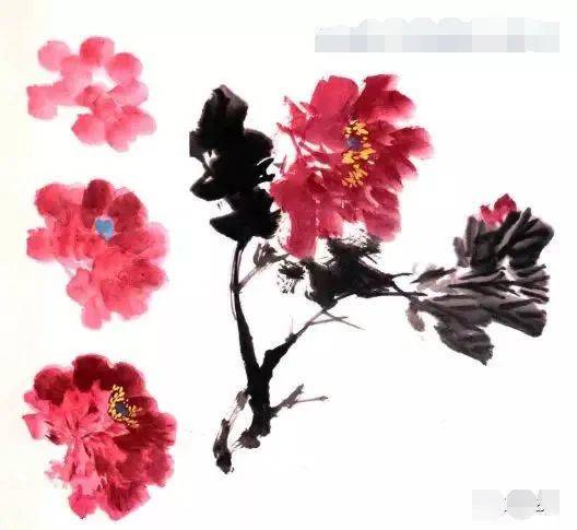 写意花鸟画色彩技法详解,写意花鸟用色技法基础