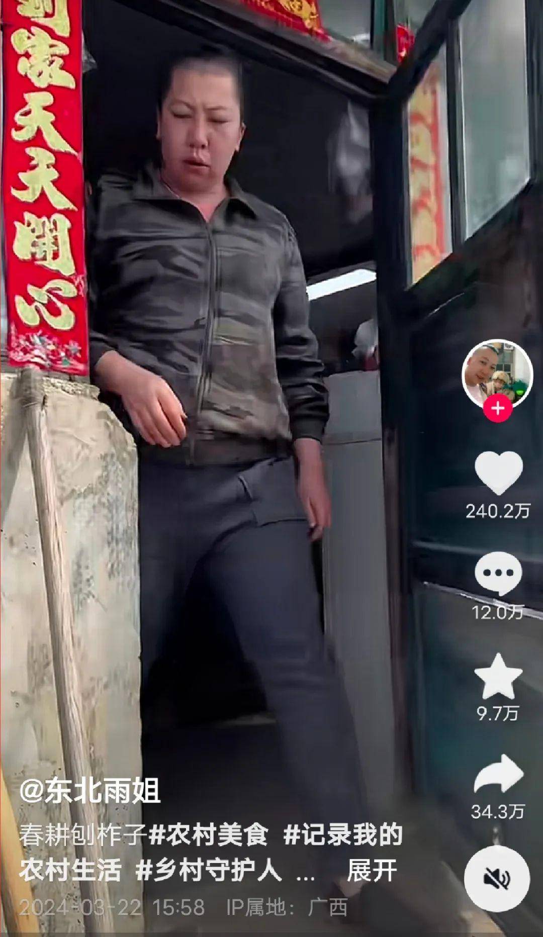 东北雨姐满血回归_老蒯_视频_李子柒