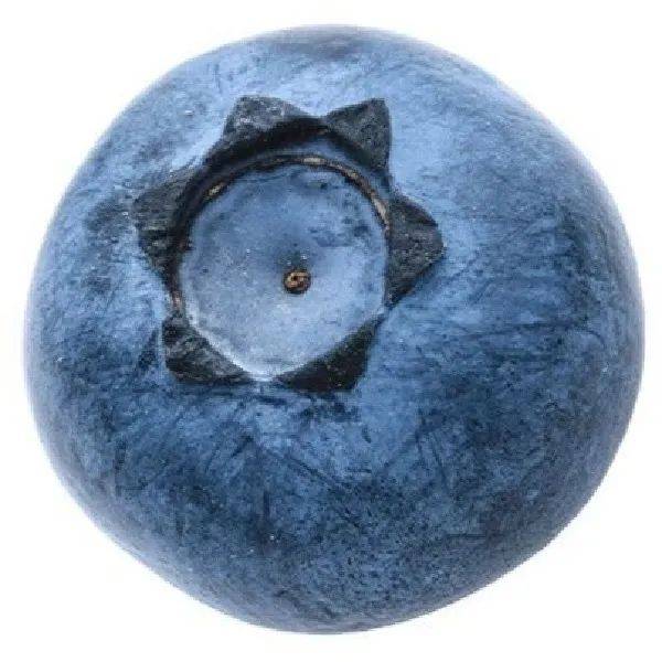 头像 | 圆形水果头像 676767