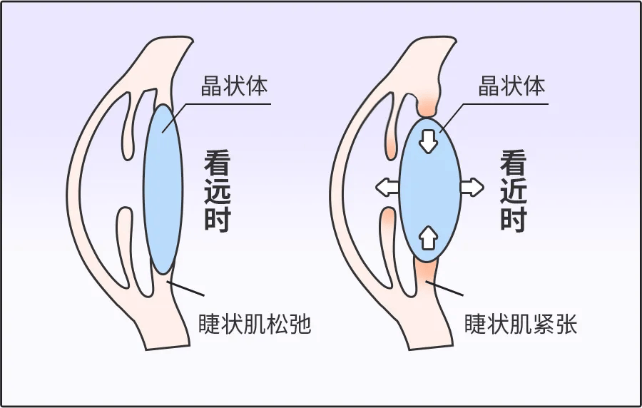 上班族必看！解救“十级工伤眼”，请收下这4个护眼锦囊