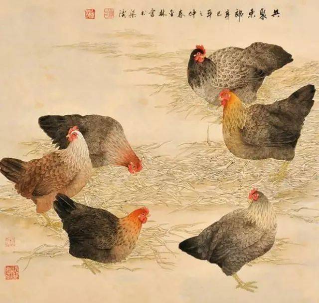 作品欣赏 | 中国当代著名画家鲁金林工笔花鸟欣赏!