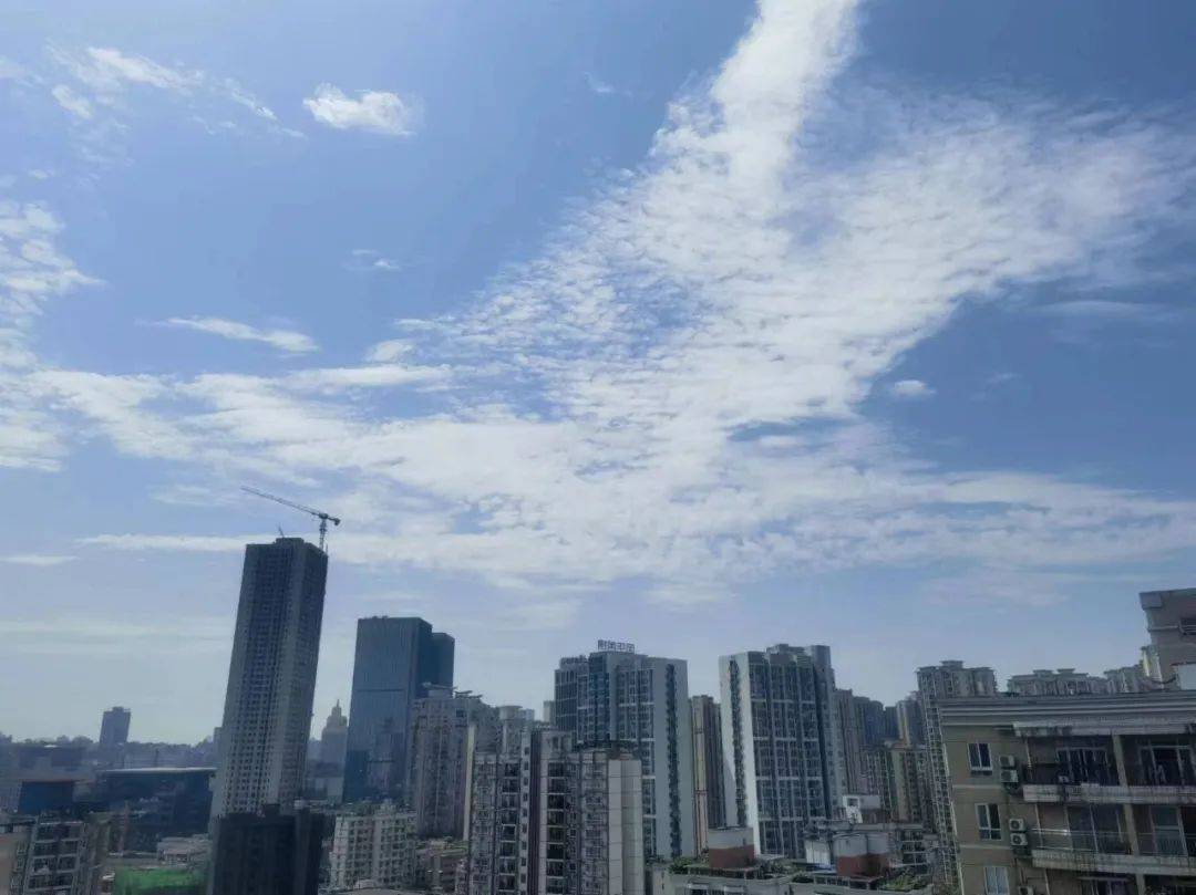 璧山,巫山,彭水,江津等多区县最高气温已超30℃,最高气温出现在云阳