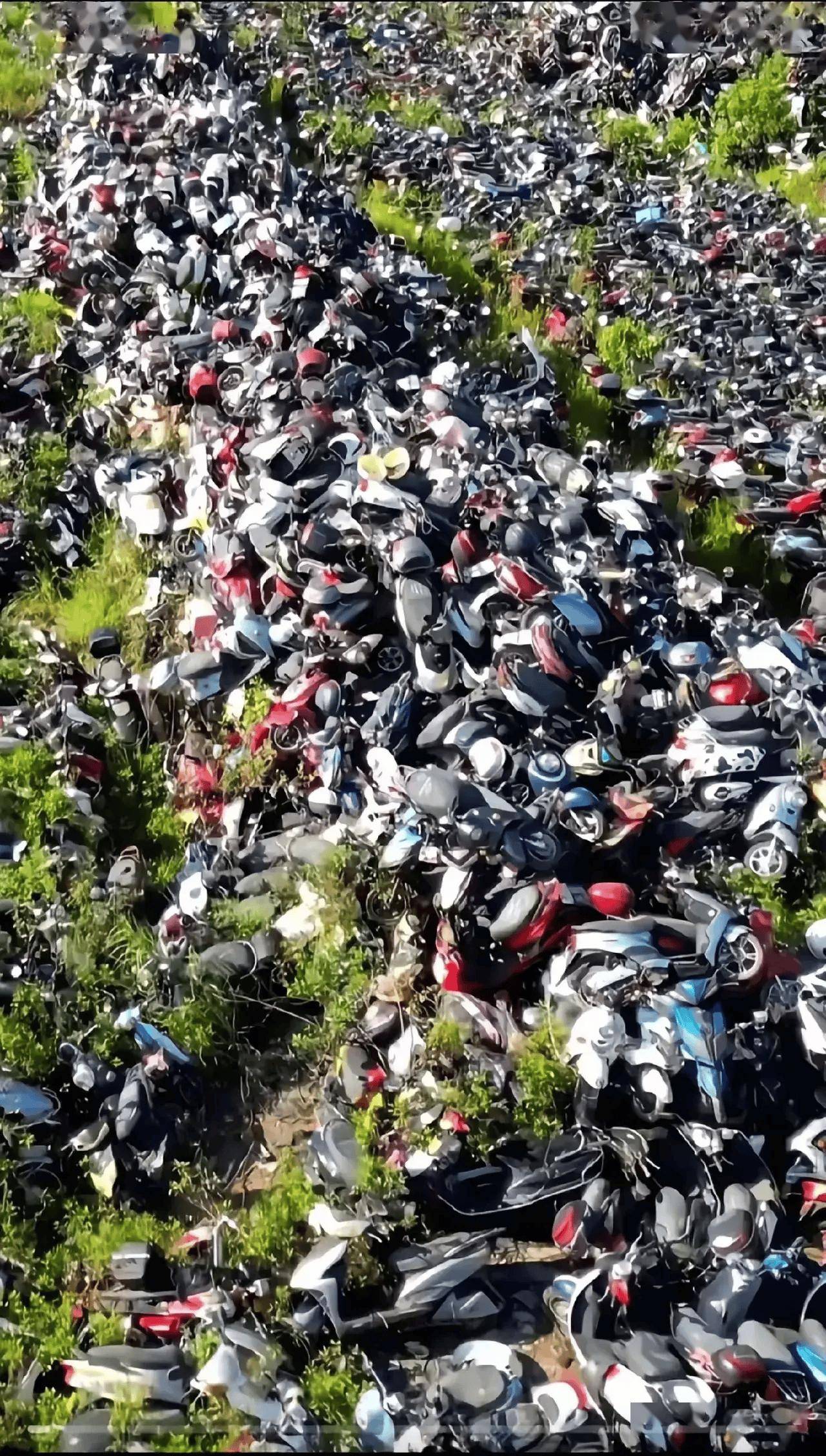 不装了,共享外卖电动车已在上海投放,对外卖小哥也下手了!