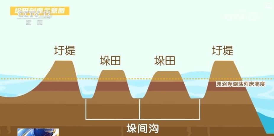 国际在线 :鸡肉是红肉还是白肉-延吉市第二届家庭文化节盛大开幕