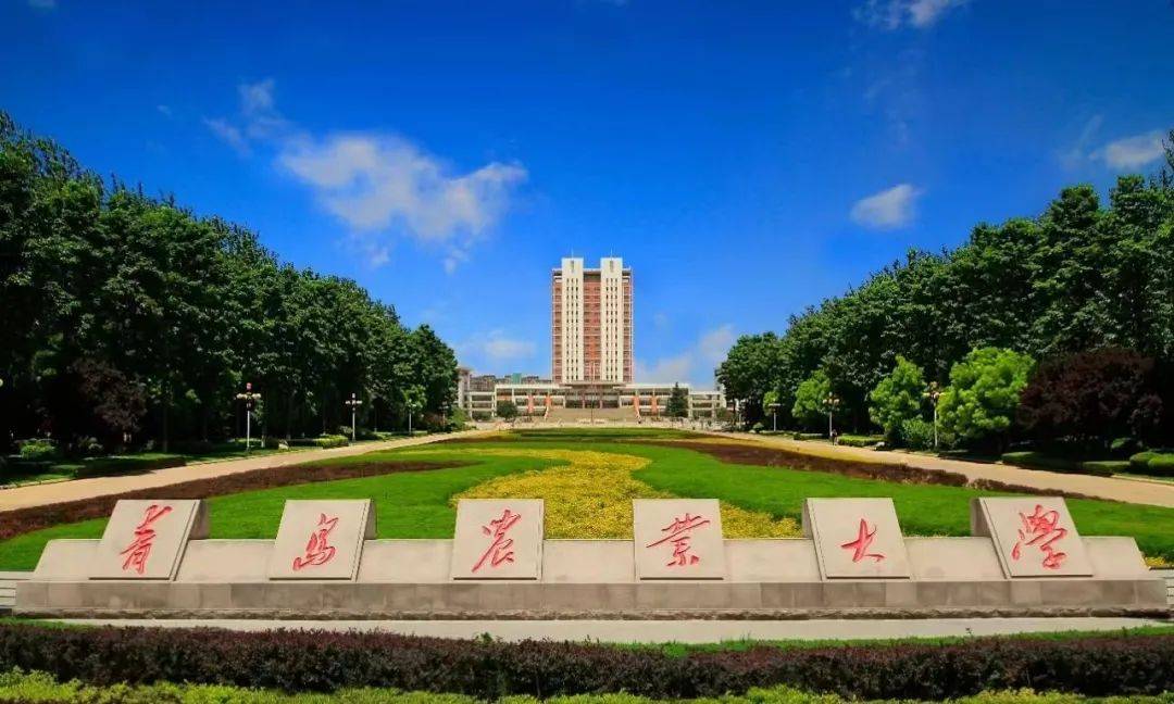 青岛农业大学莱阳图片