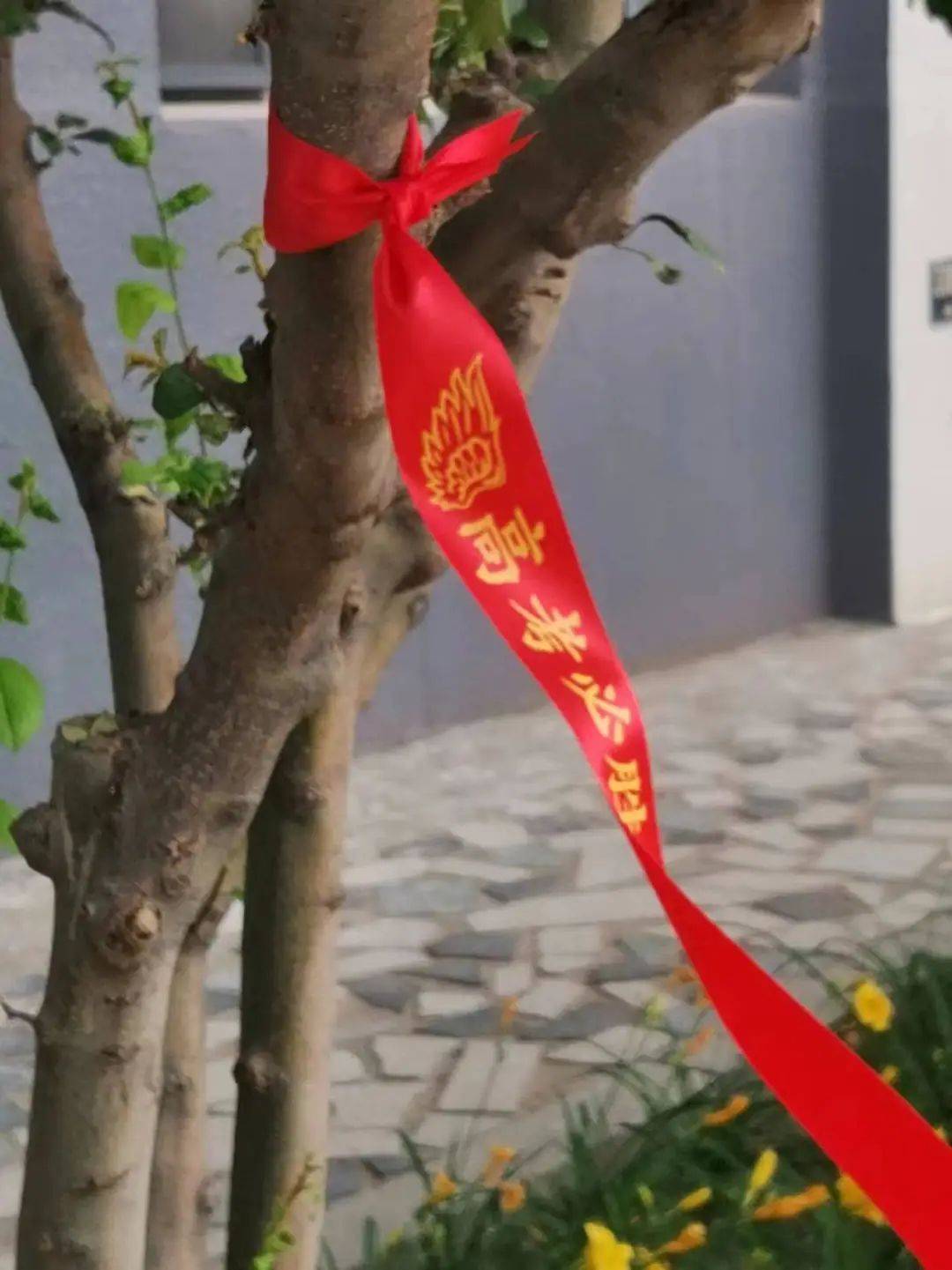 绶带结将吉祥与美好送给亲爱的学生年级教师为高三学子准备高考餐票