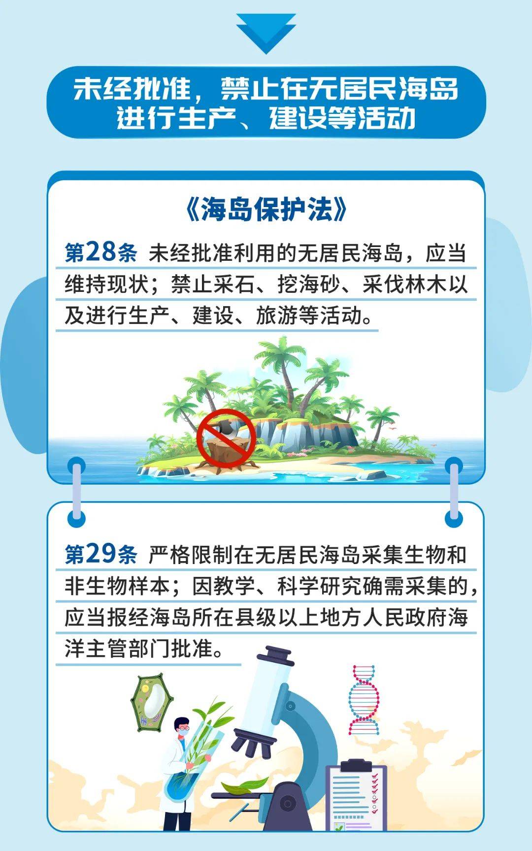 世界海洋日 | 一图概览海域海岛保护法规