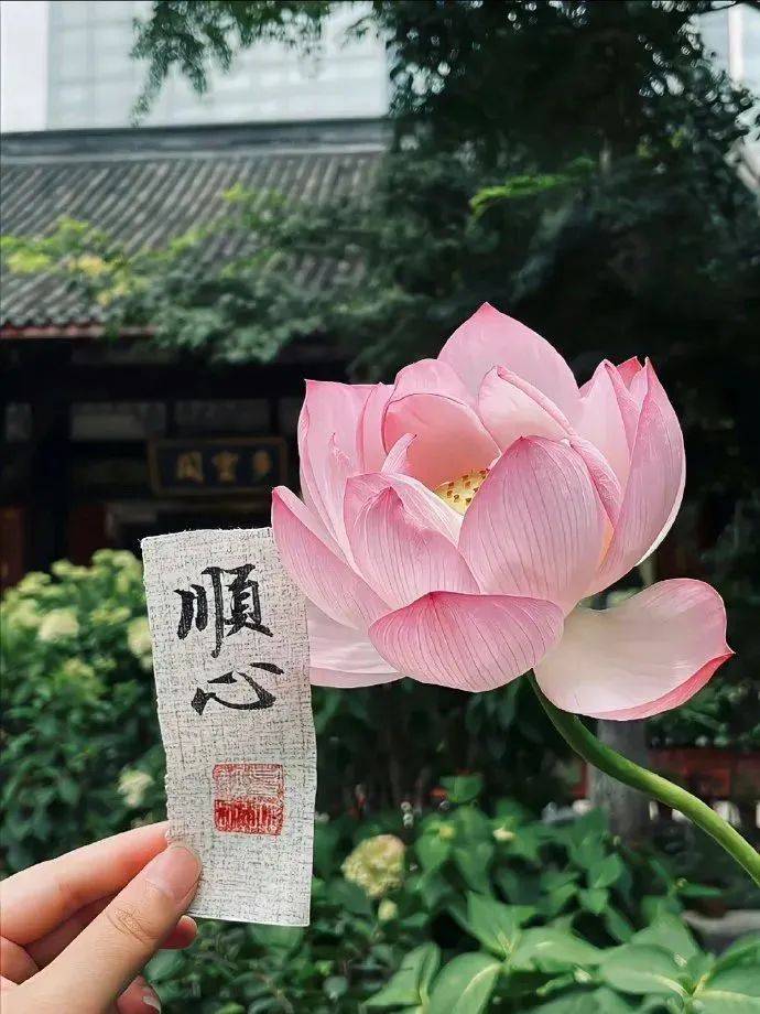 三方微信开发平台是什么_微信平台第三方开发_微信第三方开发平台