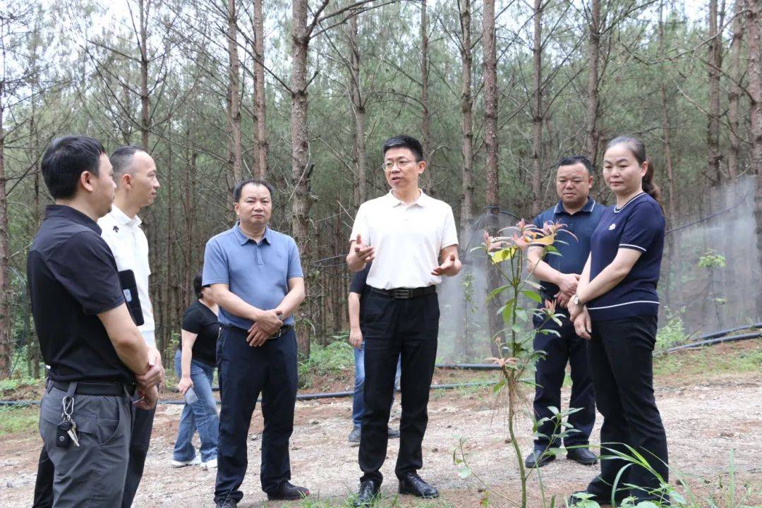 荔波县委书记叶霖简历图片