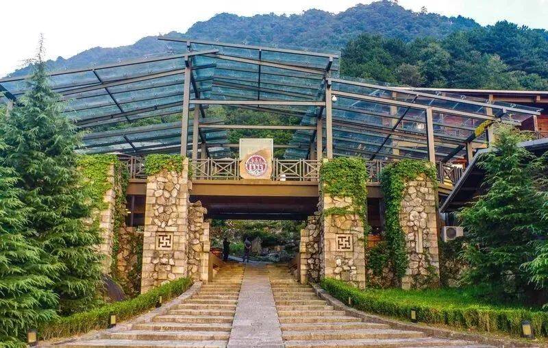 景区_午餐_行程