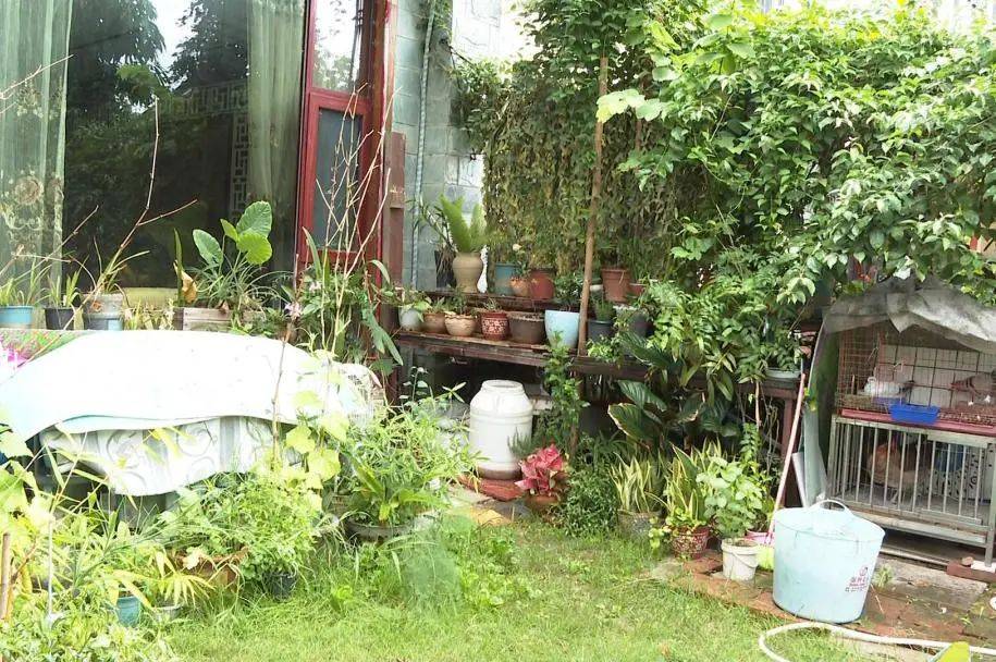 【爱国卫生运动"红黑榜"】住宅小区积水点曝光
