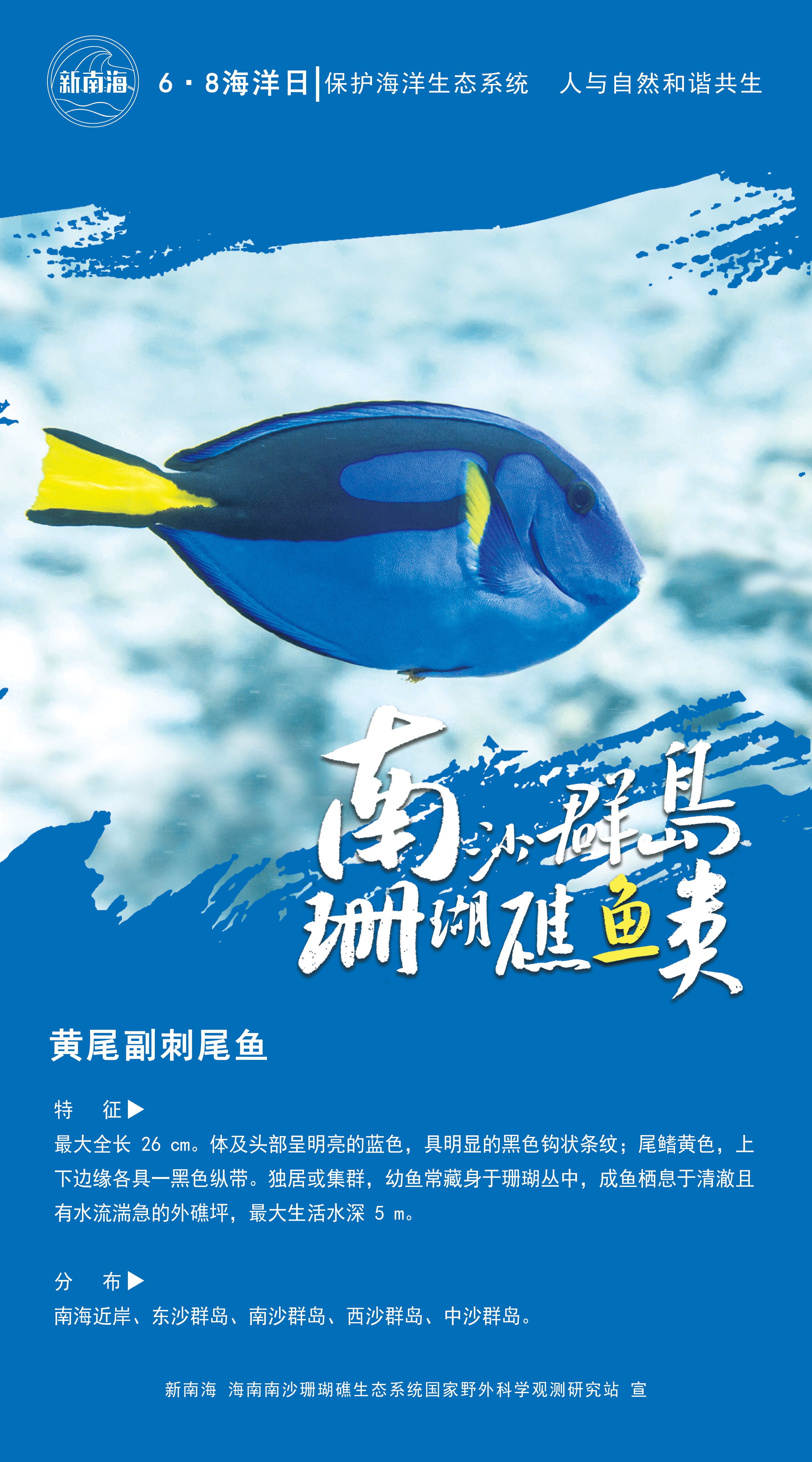 南沙群岛珊瑚礁有多少种鱼?一组海报带你认识!|世界海洋日
