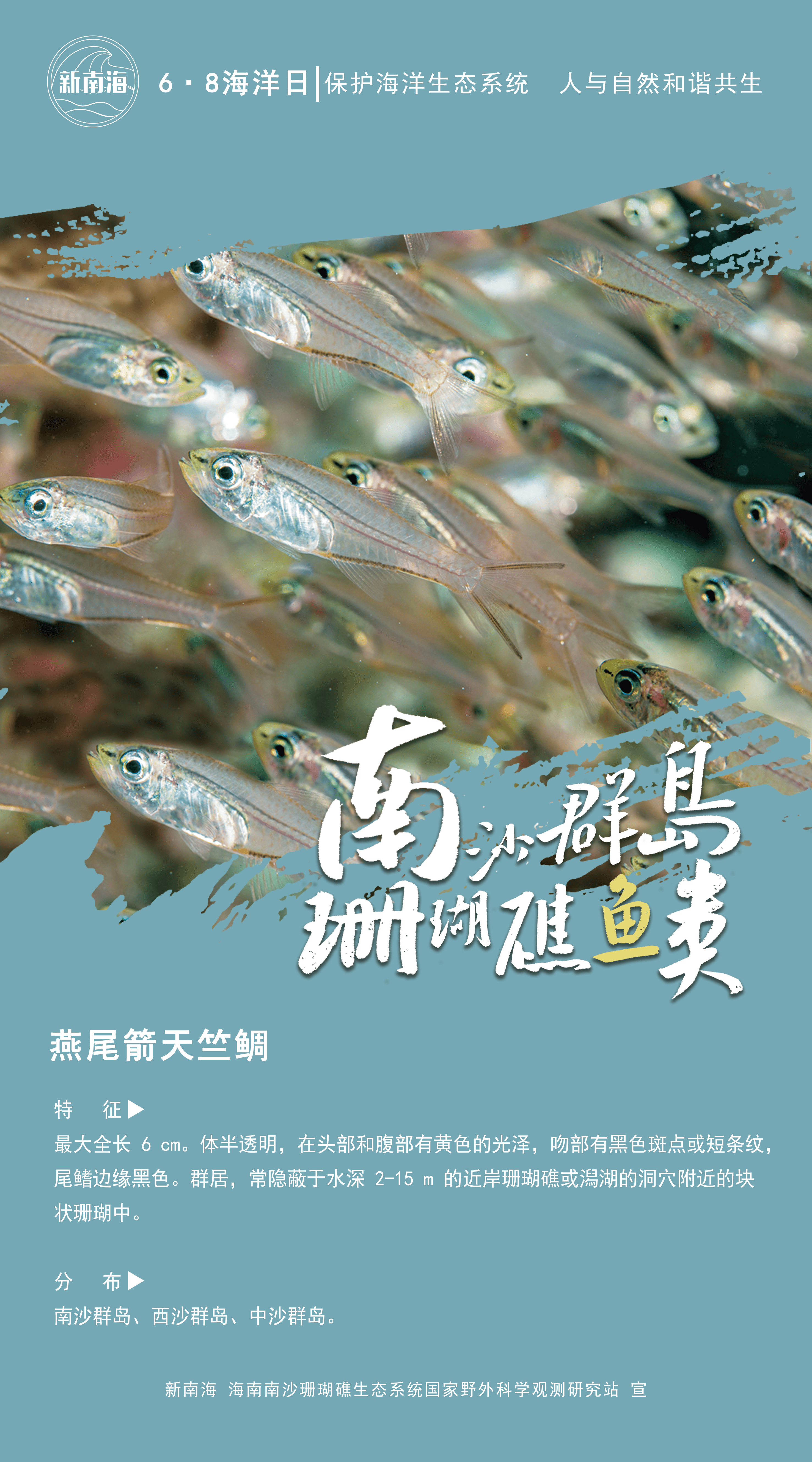 南沙群岛珊瑚礁有多少种鱼?一组海报带你认识!|世界海洋日