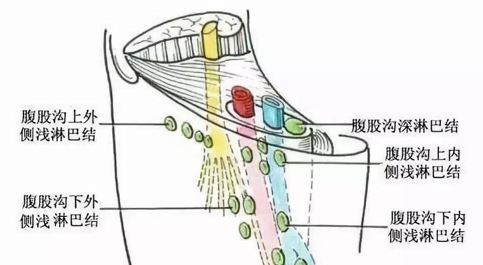 乳腺皮脂腺囊肿图片