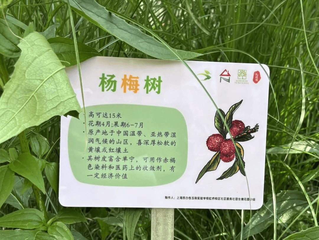 "社区营造达人 "之小小营造师系列迎来首场活动_花园_植物_包玉刚