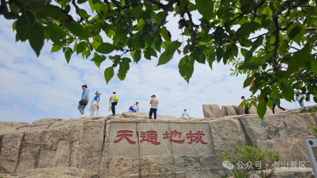 端午假期 |泰山夏意浓——漫步林间 登高远望