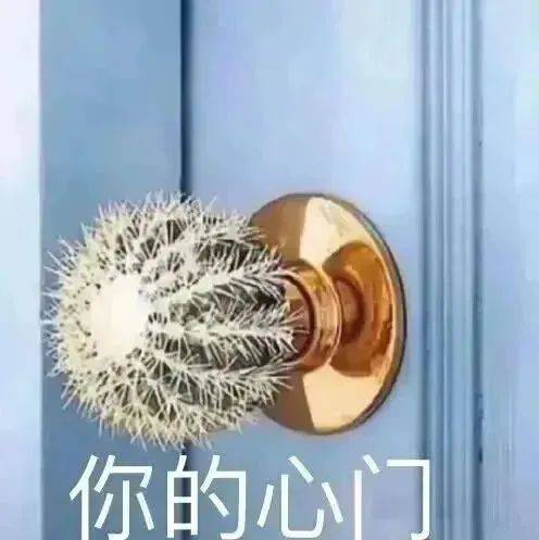 不太正经的表情包:说砍就砍