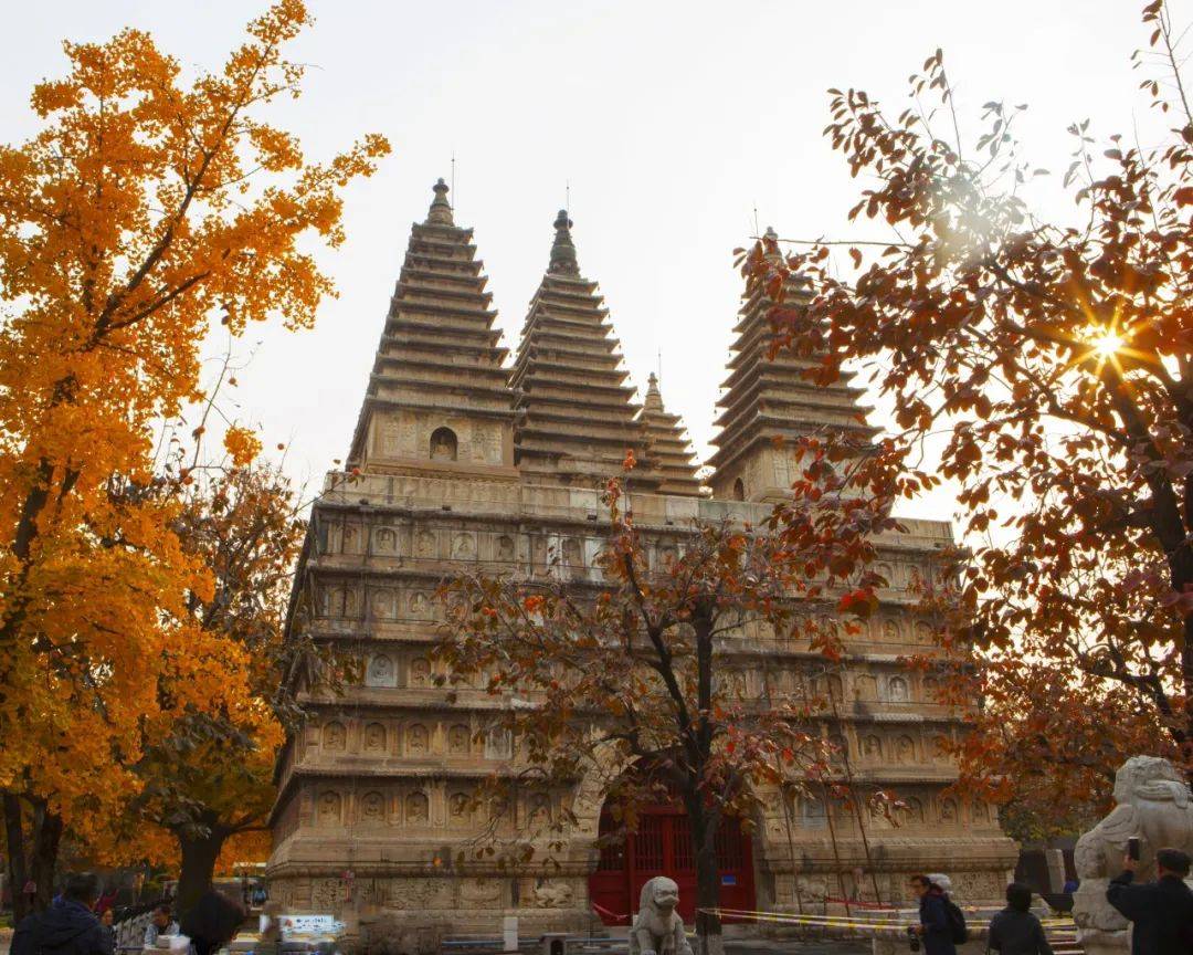 五塔寺之秋 摄影:赵京▲浓墨重彩苏州街 摄影:赵承顺▲绿水青山