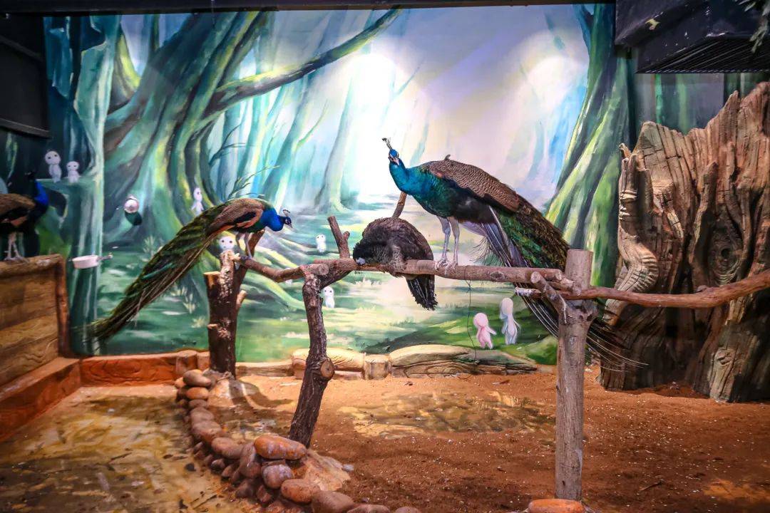 快来通州附近的这个避暑好去处!