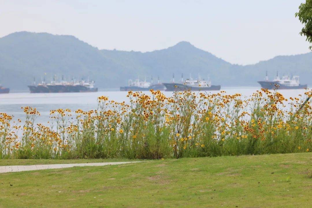 奉化裘村沙滩图片