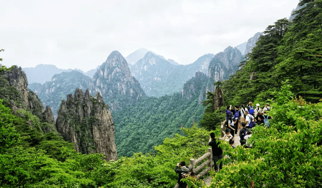【网络中国节·端午】端午假期首日:游人登高望远 共赏黄山初夏美景