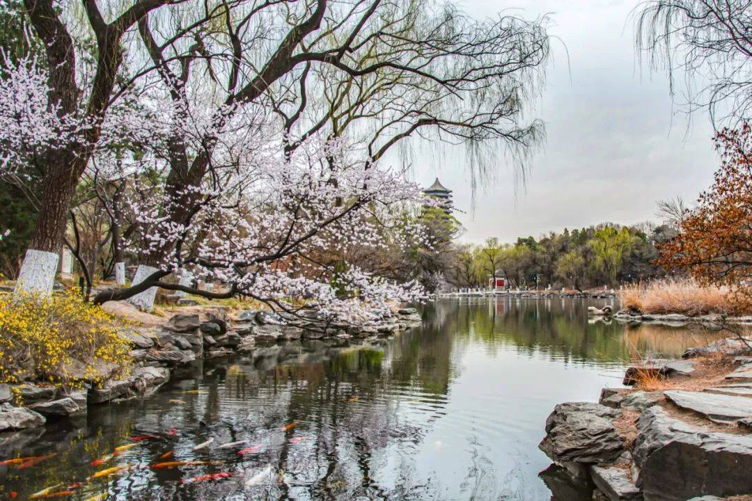 【六五环境学院】"绿水青山看海淀"摄影展邀您一起云参观