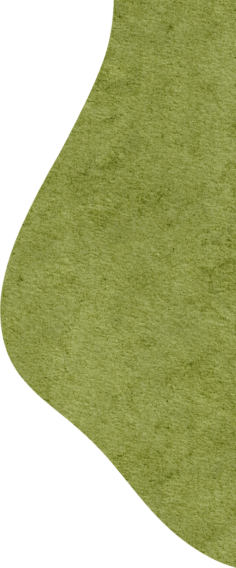 【教育改造】弘扬传统文化 粽享多彩端午