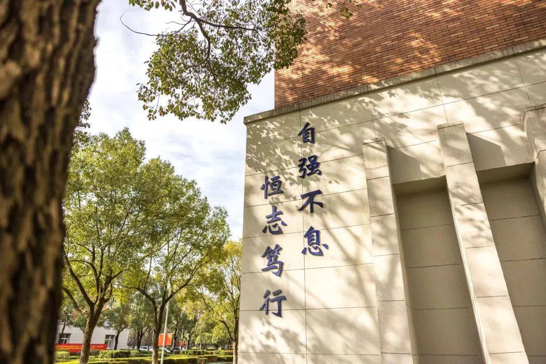 一举高"粽"!万里等你来_浙江_宁波_故事