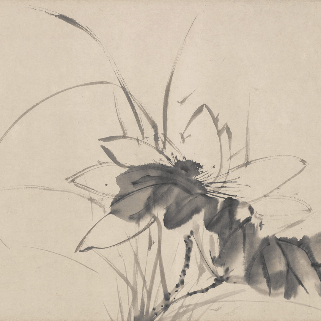 徐渭:十二墨花图