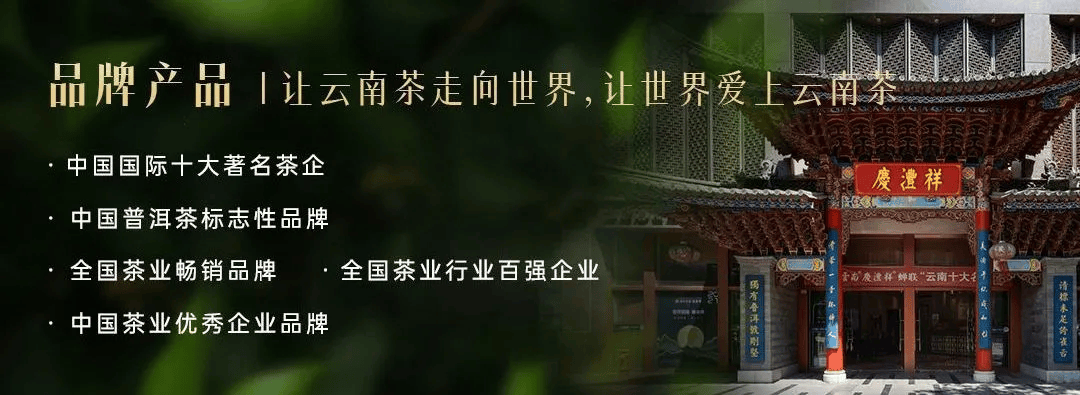追求“天价”古树茶，到底值不值得？